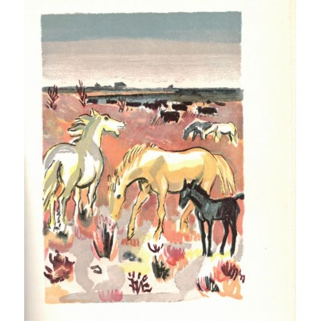 Mireille, de Frédéric Mistral, 1960 - amours contrariés, poème provençal, Provence, Collection des Prix Nobel de Littérature -