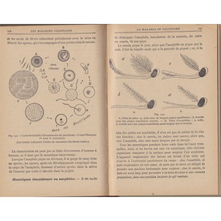 Anatomie et physiologie humaines, microbiologie, hygiène, classe 3e, Démousseau et Haumesser, 1947 - manuel sciences naturelles