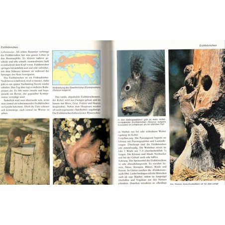 Das moderne Tierlexikon Band 2, Bertelsmann, 1980 - zoologie, encyclopédie animaux