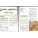 Das moderne Tierlexikon Band 2, Bertelsmann, 1980 - zoologie, encyclopédie animaux