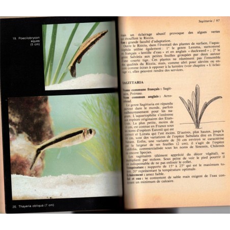 Le guide Marabout de l'aquarium, Henri Favré, Marabout Service, 1974 - poissons,