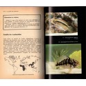 Le guide Marabout de l'aquarium, Henri Favré, Marabout Service, 1974 - poissons,