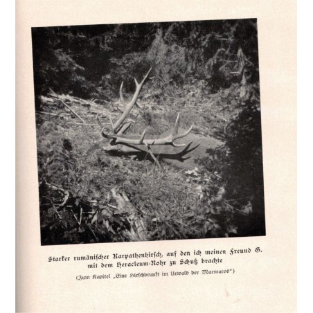 Wanderjahre eines Jägers, Lothar Graf Hoensbroech, 1936 - Hongrie, chasse, animaux sauvages,