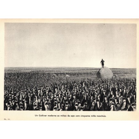 L'île des manchots, Cherry Kearton, 1949 -  animaux marins, oiseaux des mers, Antarctique,