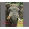 Une histoire d'éléphant, eine Elfanten Geschichte, Henri Goetschy,  1996 - alsatiques, Afrique, bilingue français allemand