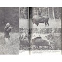 La chasse et l'amour de la nature, François Sommer, 1973 -, chasse, parcs naturels, animaux sauvages,