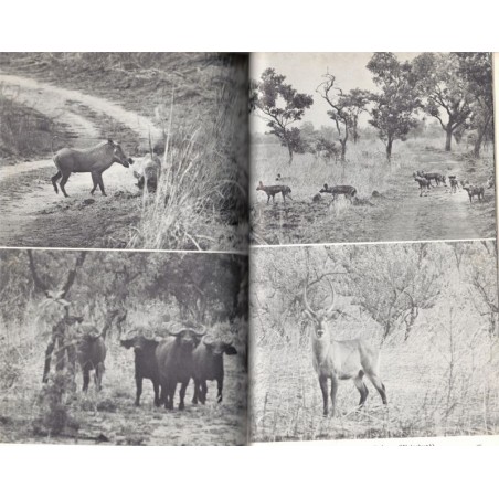 La chasse et l'amour de la nature, François Sommer, 1973 -, chasse, parcs naturels, animaux sauvages,