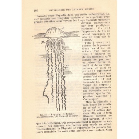Physiologie des animaux marins, Paul Portier, 1938 -, huitres perlières, perles, zoologie, animaux marins,