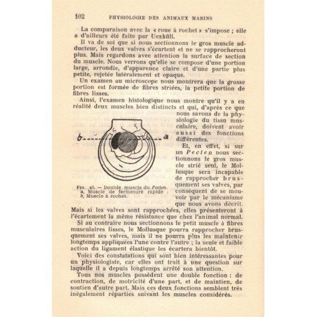 Physiologie des animaux marins, Paul Portier, 1938 -, huitres perlières, perles, zoologie, animaux marins,