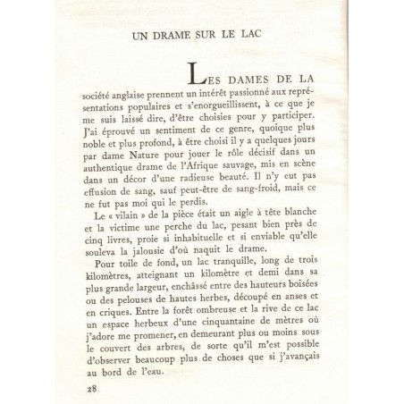 Rufidji, De la Bere Barker, 1954 -, animaux sauvages, chasse, fauves, Afrique, Tanzanie,