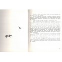 Jonathan Livingston le goéland, Richard Bach, 1973 -  animaux marins, oiseaux des mers, oiseaux migrateurs,
