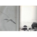 Jonathan Livingston le goéland, Richard Bach, 1973 -  animaux marins, oiseaux des mers, oiseaux migrateurs,