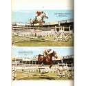 Le cheval, équitation et sports hippiques, Etienne Saurel, 1966 -, hippisme,  équitation, chevaux, sports,