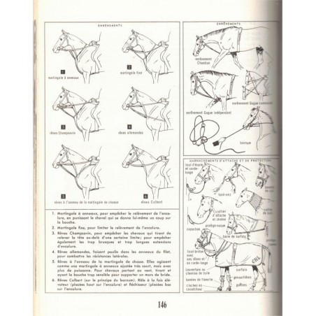 Le cheval, équitation et sports hippiques, Etienne Saurel, 1966 -, hippisme,  équitation, chevaux, sports,