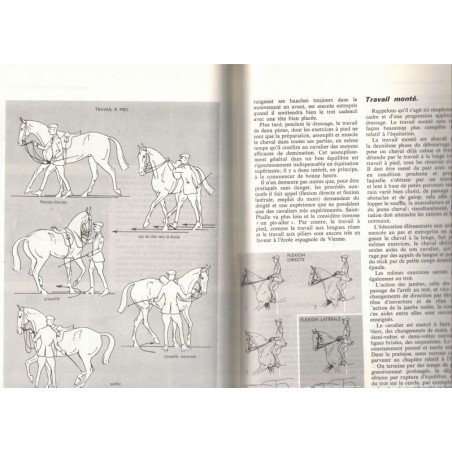 Le cheval, équitation et sports hippiques, Etienne Saurel, 1966 -, hippisme,  équitation, chevaux, sports,