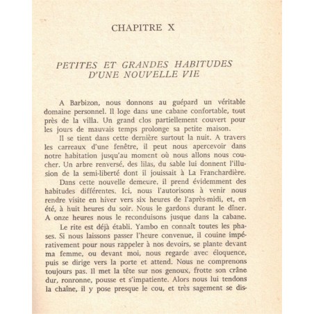 Yambo notre ami, André Mercier, 1960 -,  animaux sauvages, fauves, guépard, faune d'Afrique, protection animaux,
