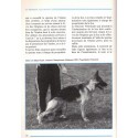 Le berger allemand, F. Fiorone, 1989 - animaux familiers, chiens,