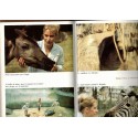 Vivre avec eux, Maryvonne Leclerc-Cassan, 1979 - , animaux sauvages, animaux captifs, zoos, zoo Paris, comportement animaux,
