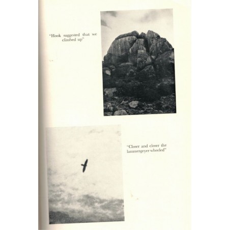 Adventures begins in Kenya, John Pollard, 1957 -, animaux sauvages, Afrique, nature africaine,