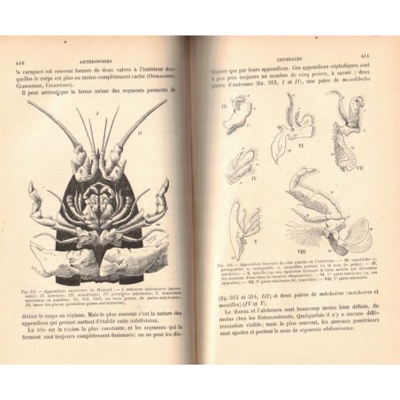 Cours élémentaire de zoologie, Rémy Perrier, 1907 - , zoologie, manuels sciences naturelles,