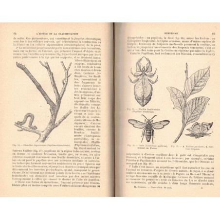 Cours élémentaire de zoologie, Rémy Perrier, 1907 - , zoologie, manuels sciences naturelles,