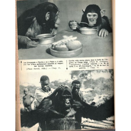 Nos amis exotiques, Hediger, 1954 - , animaux sauvages, animaux captifs, zoos, Suisse, Bâle,