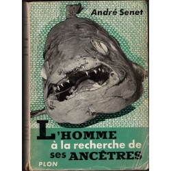 L'homme à la recherche de...