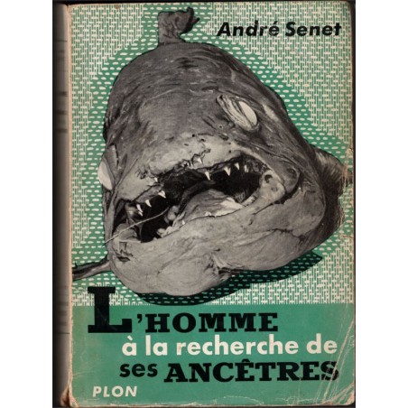 L'homme à la recherche de ses ancêtres, roman de paléontologie, André Senet, 1954 -, zoologie, préhistoire, reptiles,