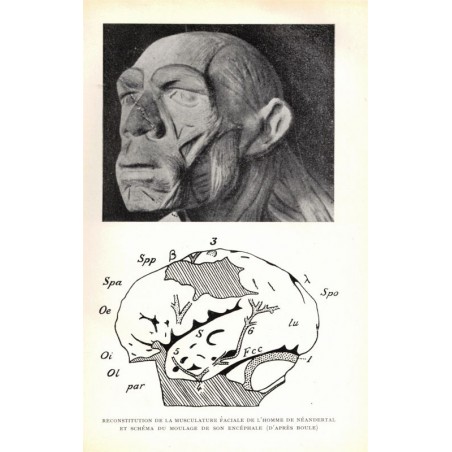 L'homme à la recherche de ses ancêtres, roman de paléontologie, André Senet, 1954 -, zoologie, préhistoire, reptiles,