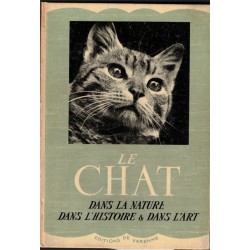 Le chat dans la nature dans...
