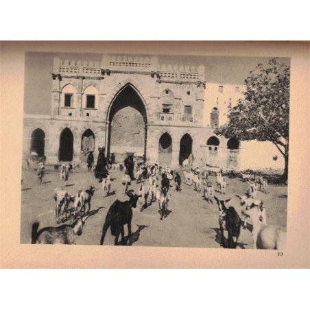 La poursuite du Kaïpan, Henri de Monfreid, 1934 - Indes, contrebande, aventures en mer,