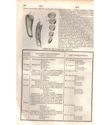 Nouveau dictionnaire lexicologique et descriptif des sciences médicales et vétérinaires, Raige-Delorme 1863 - manuels médecine,