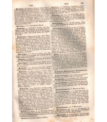 Nouveau dictionnaire lexicologique et descriptif des sciences médicales et vétérinaires, Raige-Delorme 1863 - manuels médecine,