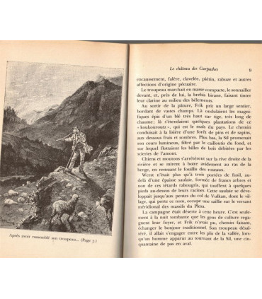 Le château des Carpathes, Jules Verne, 1989 - Transylvanie, château hanté, littérature fantastique,