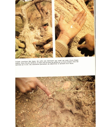 Famot, L'arche de Noé, caméra au poing monde des animaux menacés, Christian Zuber, 1974 - safari photos, animaux sauvages,