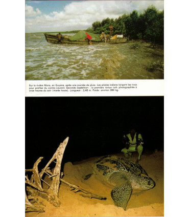 Famot, L'arche de Noé, caméra au poing monde des animaux menacés, Christian Zuber, 1974 - safari photos, animaux sauvages,