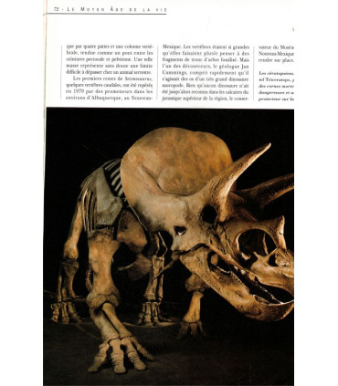 La Terre avant l'Homme, La Terre ses merveilles ses secrets, Douglas Palmer, 2002 - paléontologie, zoologie, préhistoire,