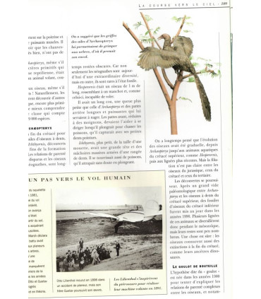 La Terre avant l'Homme, La Terre ses merveilles ses secrets, Douglas Palmer, 2002 - paléontologie, zoologie, préhistoire,