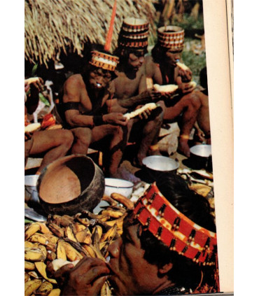 Adieu au paradis, Matthew Huxley Cornell Capa 1965 - indiens d'Amazonie, peuples disparus, Brésil, ethnologie, Amérique du Sud,