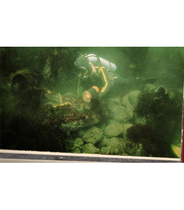 Les trésors de l'Armanda, Robert Stenuit, 1977 -, navigateurs, chasse au trésor, Espagne XVIe s., Famot,