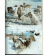 Chiens de traineaux compagnons du risque, Paul-Emile Victor, 1974 - Grand nord, explorateurs, Alaska, chiens, Famot,