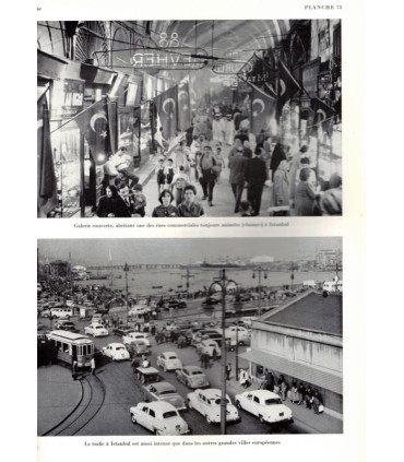 Europa Aeterna, volume 1, Ernest Steffan, 1964 -, Europe méridionale, Europe centrale, histoire, culture, politique,