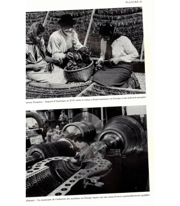 Europa Aeterna, volume 3, Ernest Steffan, 1964 -, Europe, histoire, culture, politique européenne, organisations européennes,