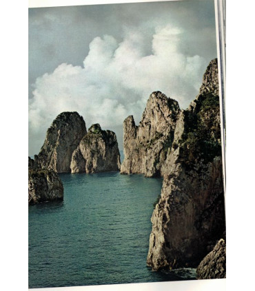 L'Europe, Les Continents en couleurs, Kai Curry-Lindahl, 1966  -, beautés nature, animaux sauvages, parcs naturels,