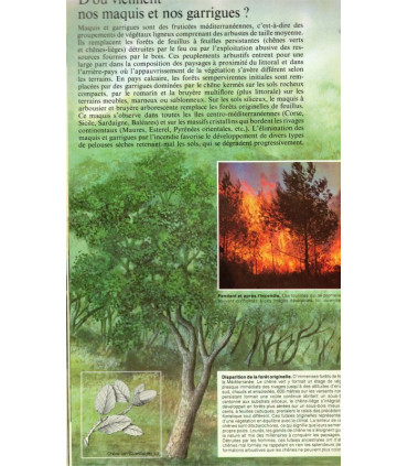 Splendeurs naturelles de l'Europe, Reader's Digest, 1978 -, beautés nature, animaux sauvages, parcs naturels,