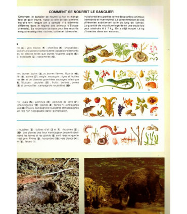 Splendeurs naturelles de l'Europe, Reader's Digest, 1978 -, beautés nature, animaux sauvages, parcs naturels,