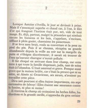 Les promesses du ciel et de la terre,  Claude Michelet, 1985 -, Chili, émigrants de Corrèze XIXe siècle, saga familiale,