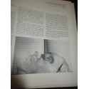 Héroïsme et désespoir, N°4 La grande musique, Mondadori, 1983 - musiciens, encyclopédie