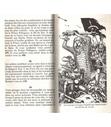 Les Maîtres des Ténèbres, Joe Dever et Gary Chalk, 1985 -,  mondes fantastiques, fantasy, littérature jeunesse, Folio Junior,