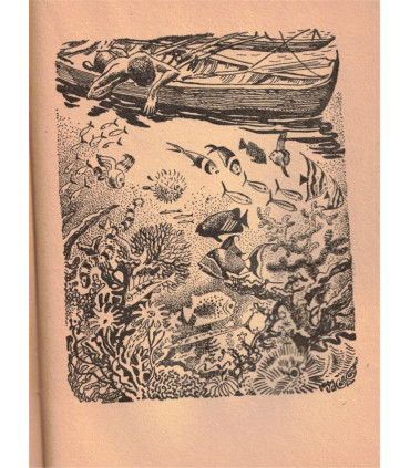 Les contes de Poindi, Jean Mariotti, 1941 -, Nouvelle-Calédonie, Canaques, contes populaires,